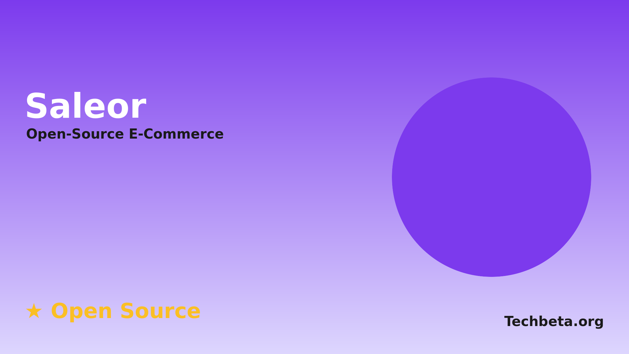 Saleor: Modern Open-Source E-Commerce Platform for Multi-Channel Retail